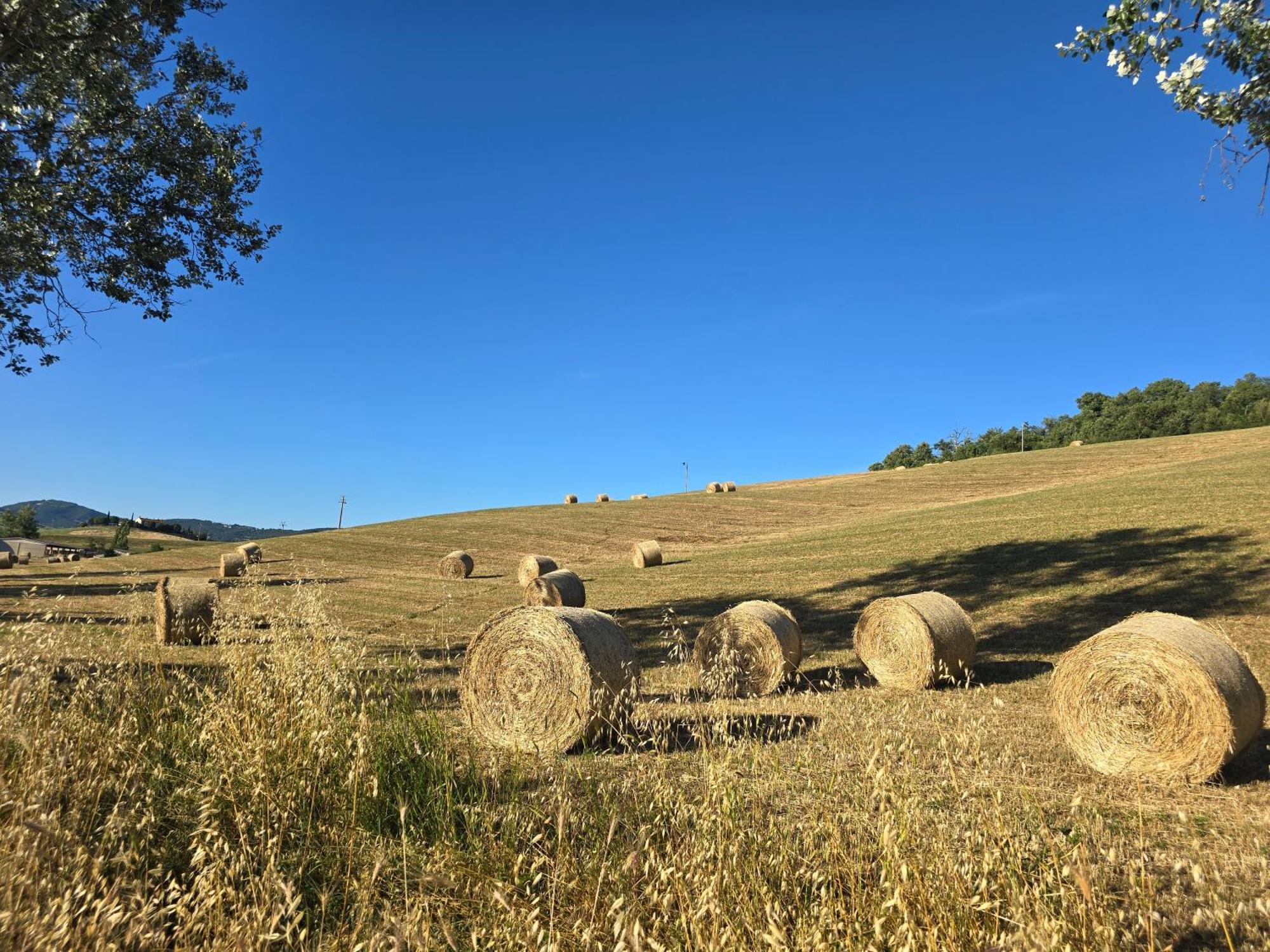 Finestra Della Val D'Orcia Apartment Contignano Exterior foto